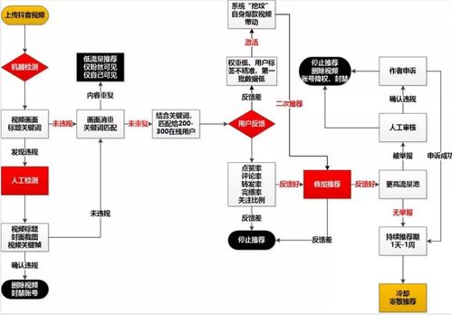 2025年抖音巨量千川投流涨粉怎么做 步骤解析 