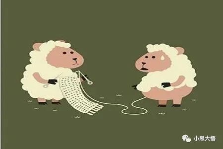 淘宝褥羊毛啥意思,2021年最新薅羊毛平台网站,褥羊毛啥意思