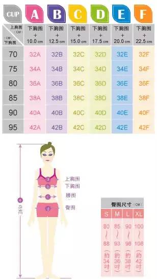 女生胸的尺码对照表,教你区分胸围ABCD,胸的尺码对照表