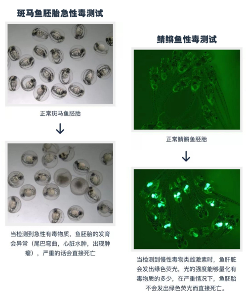 什么牌子的口红好用不贵,大牌口红排行榜,什么牌子的口红好