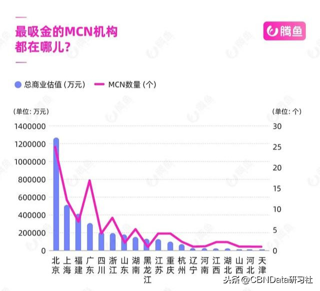 抖音网红排名前十,了解网红真实收入,抖音网红排名