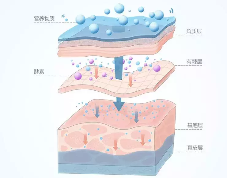 酵素面膜可以天天用吗,盘点国家认可的酵素品牌,酵素面膜