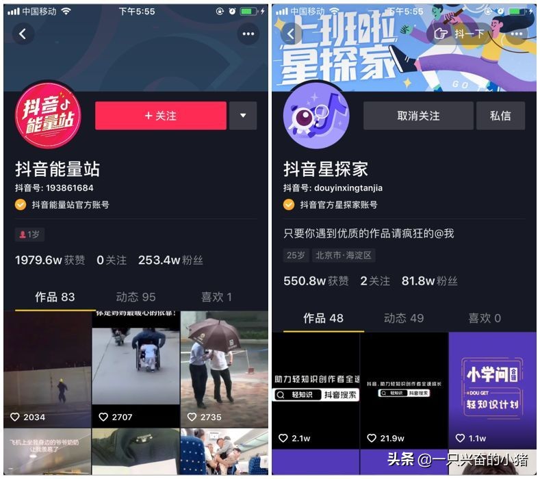 抖音号怎么搜索不到用户,知道抖音号却搜索不出来怎么回事,抖音号怎么搜索