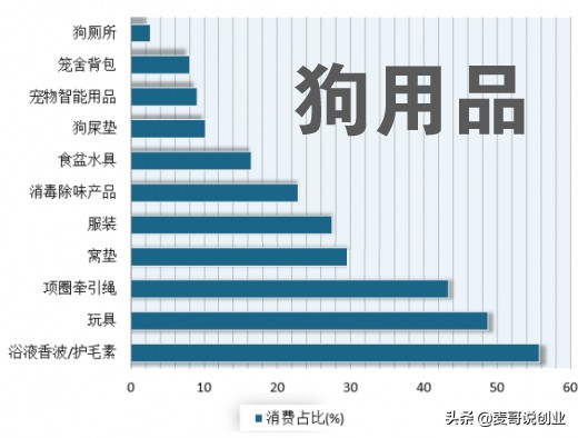 上海宠物用品批发市场在哪里,谈谈宠物店一年利润怎么样,上海宠物用品批发市场