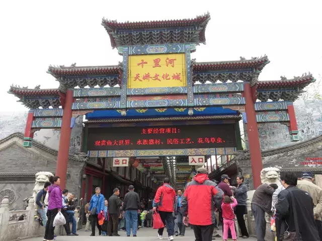 北京宠物市场在哪,北京十大花鸟鱼虫市场逛街攻略,北京宠物市场