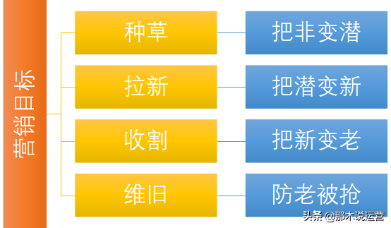 新客户开发技巧,聊聊老客和新客哪个更重要,新客