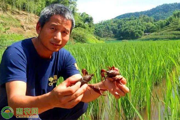 如何申请创业贷款流程,了解想创业在哪里可以贷款,如何申请创业贷款