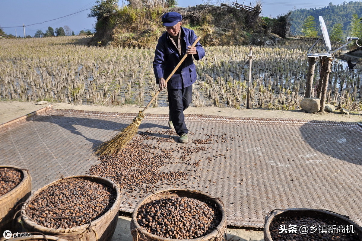 变废为宝的项目都有哪些,来钱快的偏门赚钱路子推荐,变废为宝的项目