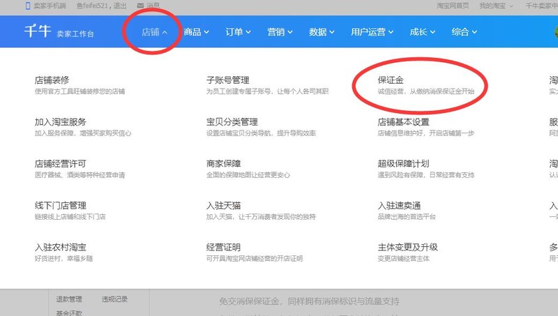 淘宝保证金是什么,淘宝保证金入口介绍,保证金是什么