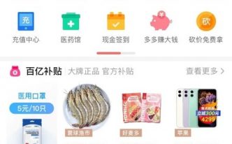 拼多多手机网页版怎么搜索商品 附：拼多多使用方法说明