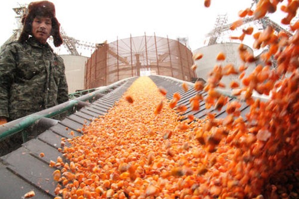 小加工厂做什么利润高,3个最有市场前景的小型加工厂,小加工厂