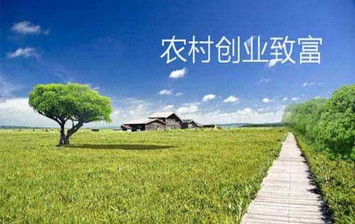 家庭加工致富项目有哪些,2021年前景最好的项目,家庭加工致富项目