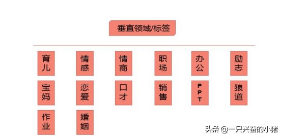 抖音标签是什么意思,抖音标签作用详解,标签是什么意思