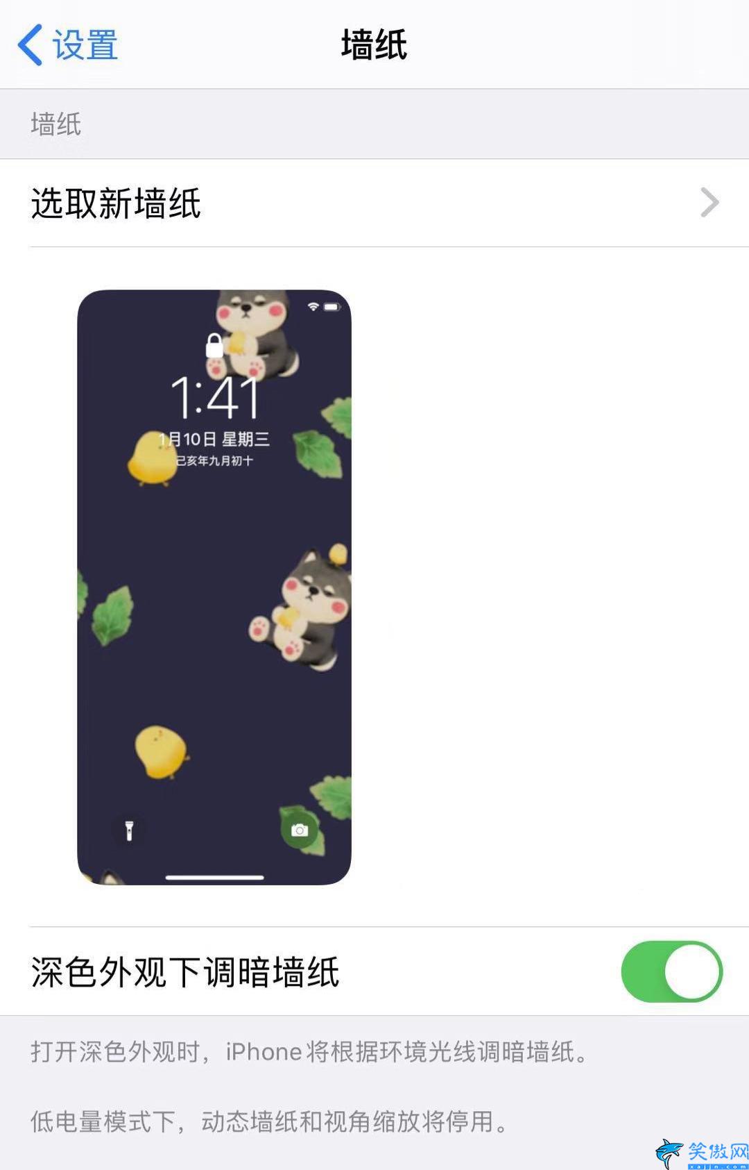 苹果11手机壁纸怎么设置,iPhone更换动态壁纸的操作流程