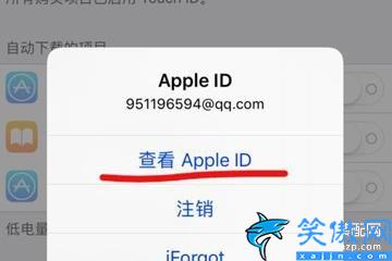 苹果手机付费设置怎么取消,设置iPhone解除应用自动续费