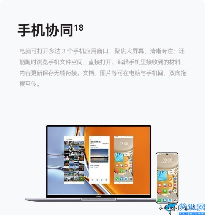 哪个电脑品牌性价比最高,四款大学生首选高性价比电脑